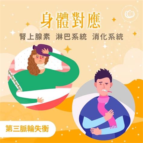 腸胃 脈輪|第三脈輪身心覺察療癒－中：內在消化系統